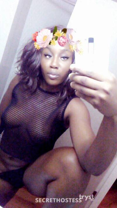 Remy 20Yrs Old Escort Size 8 163CM Tall Phoenix AZ Image - 4