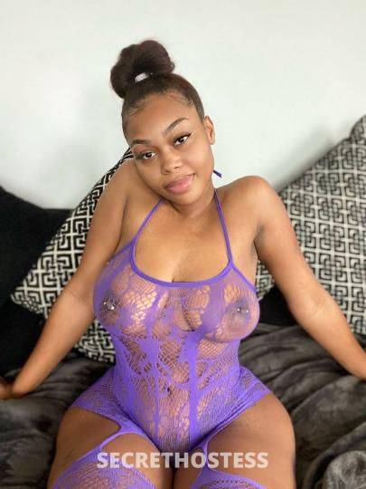 27Yrs Old Escort Tampa FL Image - 3