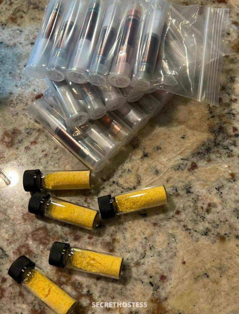 Dianna Larson 23Yrs Old Escort Size 10 Vancouver Image - 0