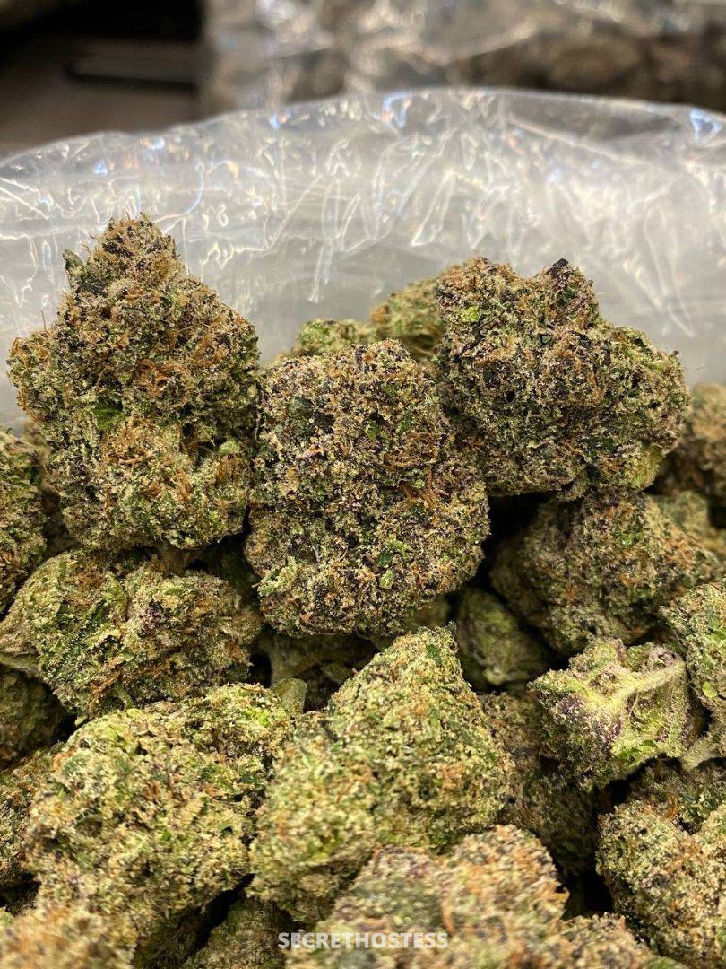 Jeniffa 25Yrs Old Escort London Image - 10