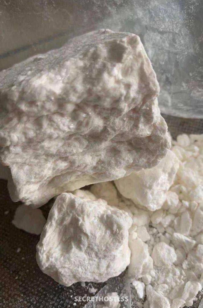 Williams Sammy 23Yrs Old Escort London Image - 5