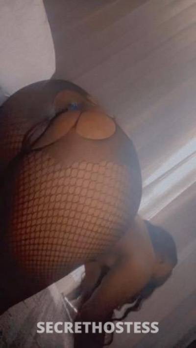 23Yrs Old Escort Washington DC Image - 4