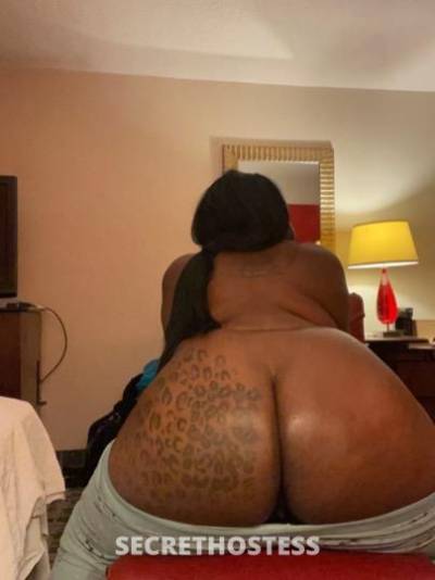 24Yrs Old Escort Detroit MI Image - 1