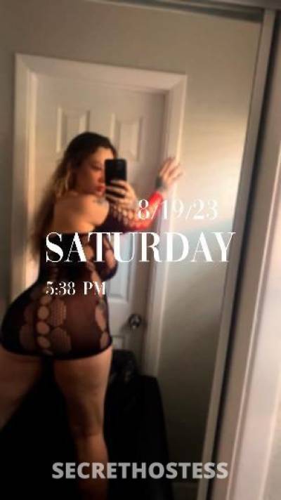 26Yrs Old Escort Tampa FL Image - 2