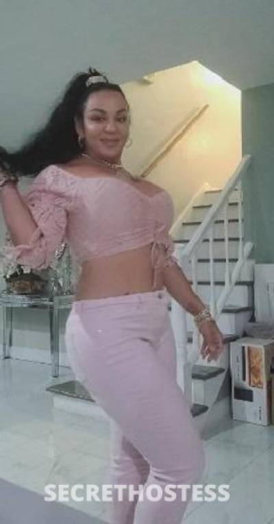 36Yrs Old Escort Chicago IL Image - 2