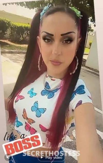 37Yrs Old Escort Miami FL Image - 1