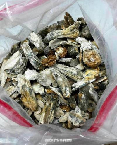 Dianna Larson 23Yrs Old Escort Size 10 Vancouver Image - 1