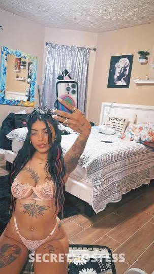 22Yrs Old Escort Houston TX Image - 1