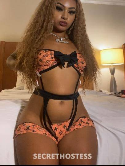 22Yrs Old Escort Dallas TX Image - 2