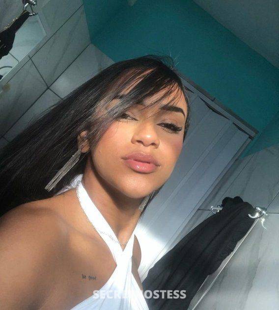 26Yrs Old Escort 200CM Tall Arlington TX Image - 2