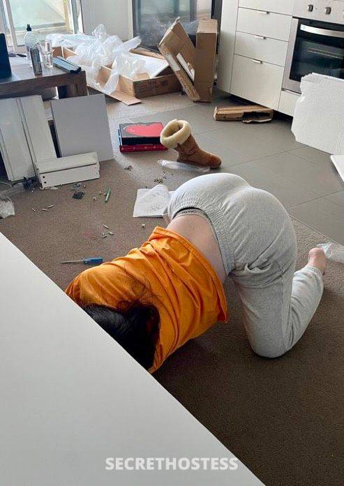 Daniella 27Yrs Old Escort 175CM Tall Harrisburg PA Image - 9