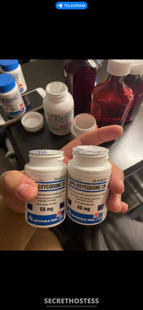 Dianna 26Yrs Old Escort Edmonton Image - 4