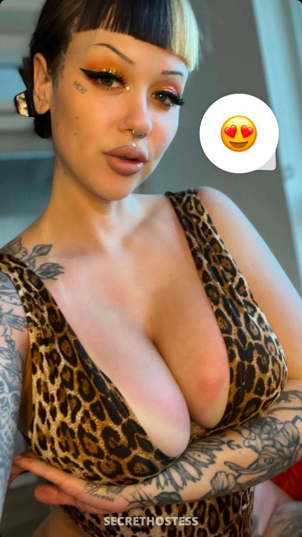 Jennifer Howard 29Yrs Old Escort Size 6 167CM Tall Pittsburgh PA Image - 5