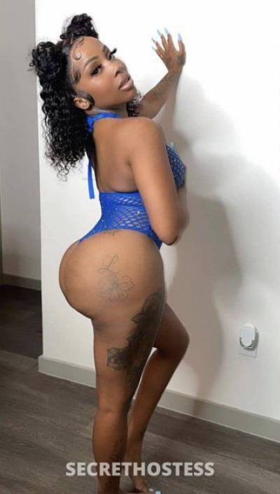 25Yrs Old Escort Dallas TX Image - 1