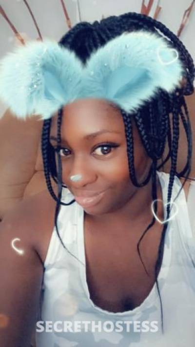 25Yrs Old Escort St. Louis MO Image - 1