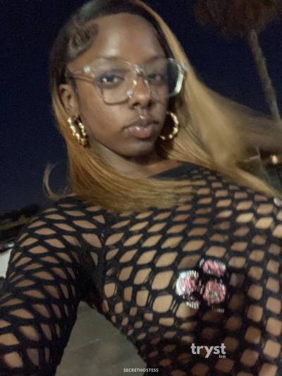 Ciara 20Yrs Old Escort Size 6 154CM Tall Los Angeles CA Image - 14
