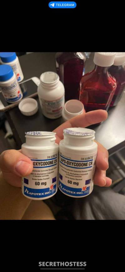 Dianna 26Yrs Old Escort Edmonton Image - 4