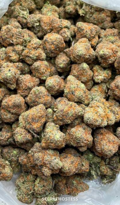 Sammy 23Yrs Old Escort Size 10 Calgary Image - 3