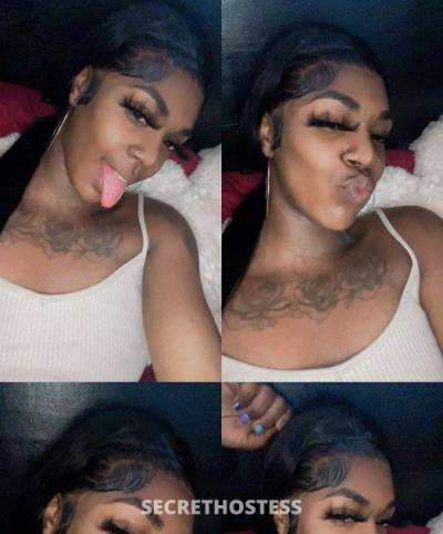 Lala 21Yrs Old Escort 167CM Tall Greensboro NC Image - 1