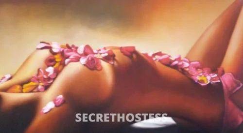 25Yrs Old Escort Size 8 Coffs Harbour Image - 5