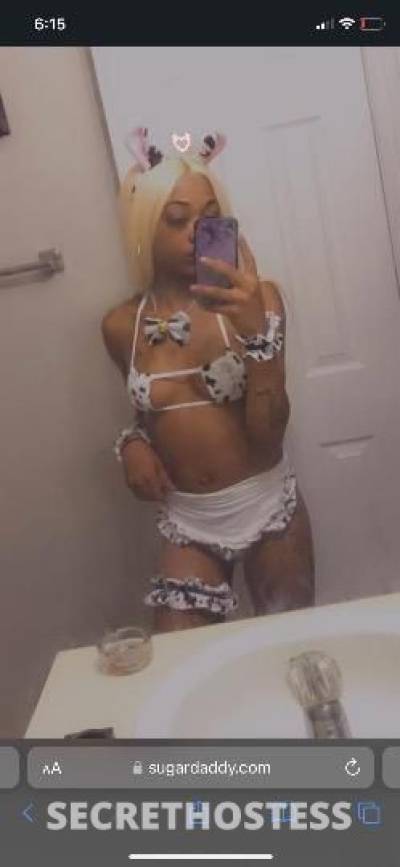 24Yrs Old Escort Charlotte NC Image - 2