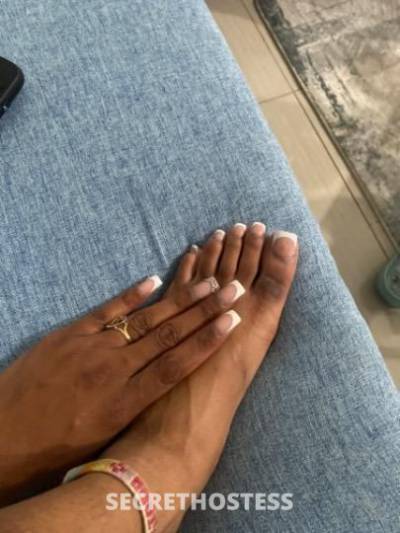 24 year old Escort in West Palm Beach FL sweet like caramel come eat me up