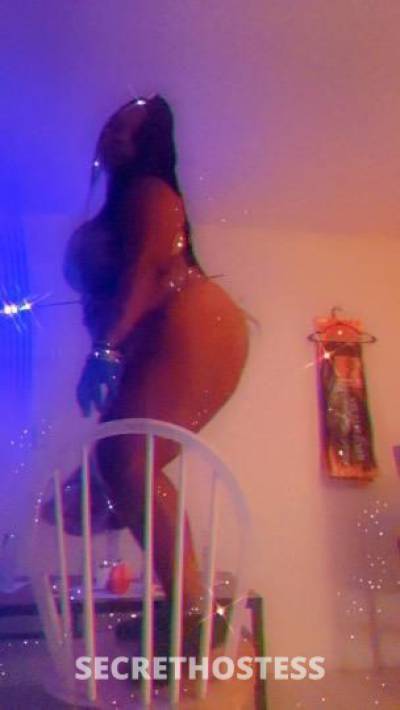 33Yrs Old Escort West Palm Beach FL Image - 1