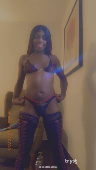 Cayla 20Yrs Old Escort Size 8 157CM Tall Dallas TX Image - 2