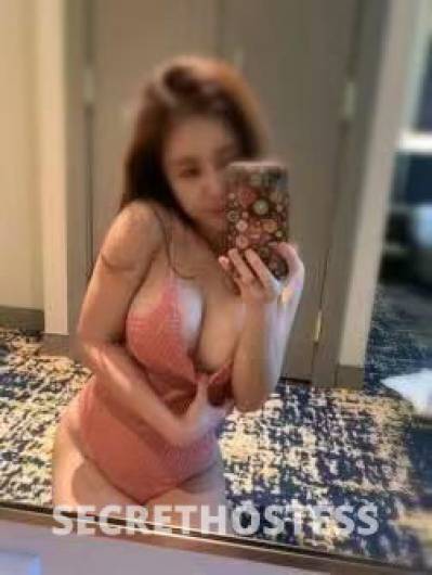 Cindy 24Yrs Old Escort Perth Image - 3