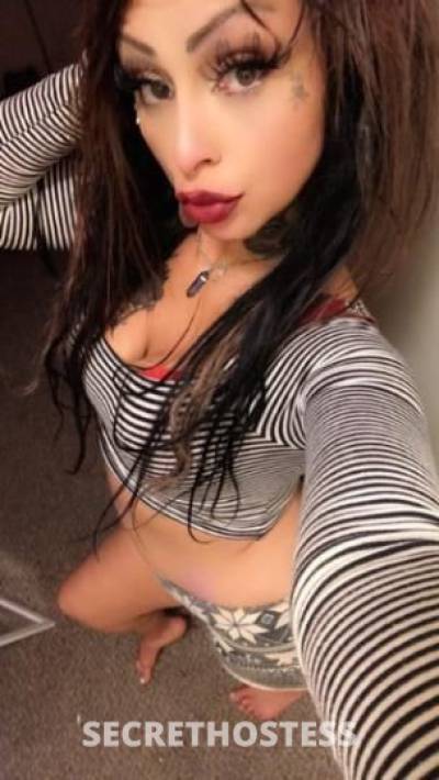 Jamie 26Yrs Old Escort Ogden UT Image - 3