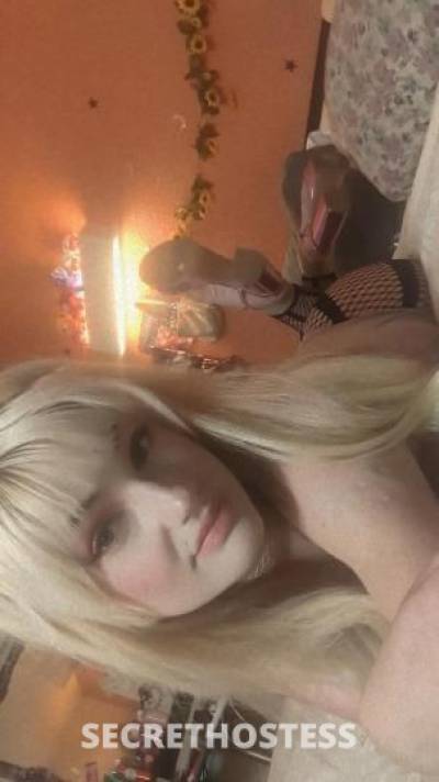 21Yrs Old Escort Dallas TX Image - 2