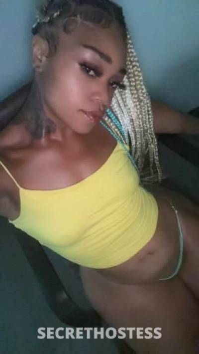 Bee 22Yrs Old Escort Beaumont TX Image - 4