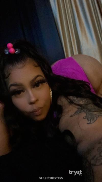 20 Year Old Puerto Rican Escort San Diego CA Brunette - Image 2