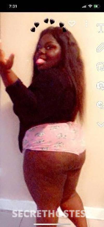 24Yrs Old Escort Chicago IL Image - 1