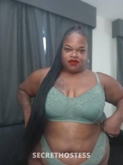 38Yrs Old Escort Tampa FL Image - 2