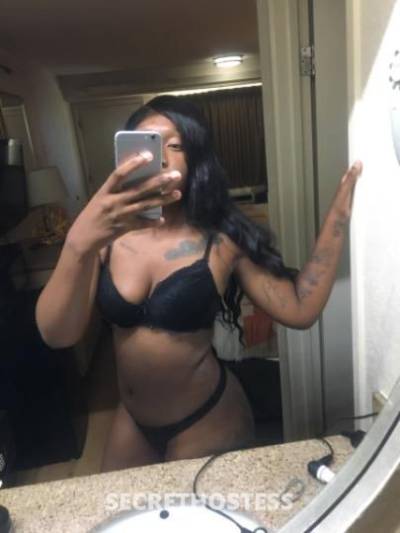 Bella 21Yrs Old Escort Toledo OH Image - 5