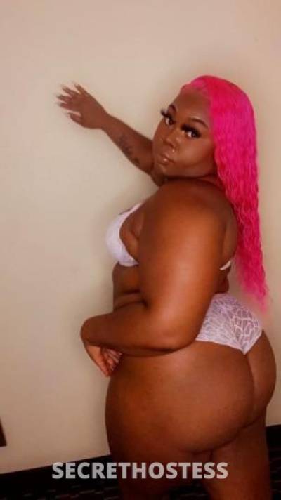 Chocolatebaby 25Yrs Old Escort Saint Louis MO Image - 3