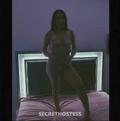 25 Year Old Italian Escort Houston TX - Image 3