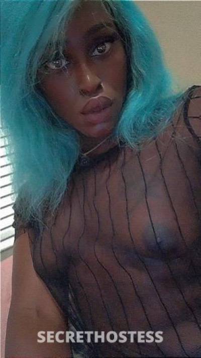 27 year old Escort in Houston TX Lyribabi TS experience