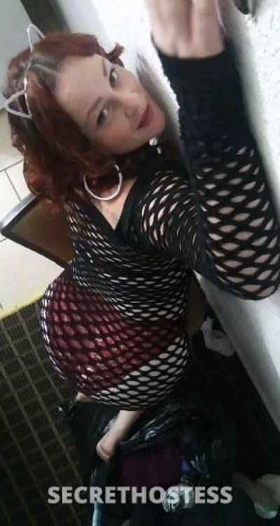 35Yrs Old Escort North Bay CA Image - 3