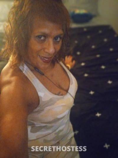 46Yrs Old Escort Everett WA Image - 3