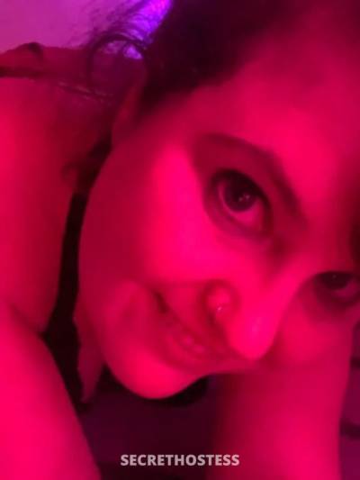 Ali 29Yrs Old Escort Size 16 Melbourne Image - 3