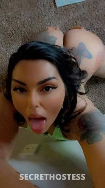 CurvyD 25Yrs Old Escort Minneapolis MN Image - 4
