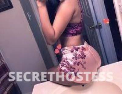 Daysia 25Yrs Old Escort 165CM Tall Orlando FL Image - 0