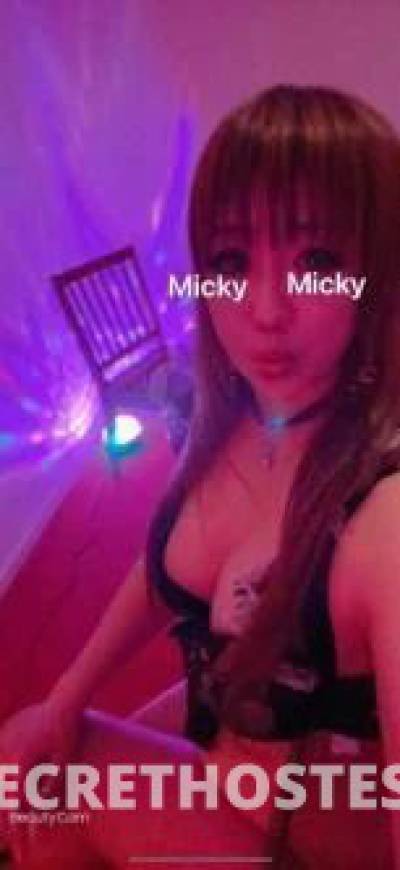 Mickey 22Yrs Old Escort Darwin Image - 8