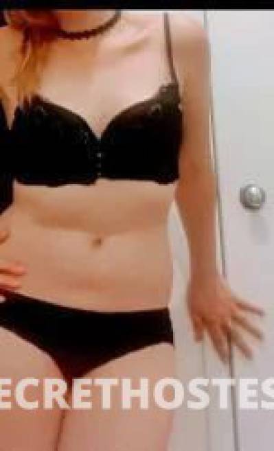 30Yrs Old Escort Size 6 Wollongong Image - 5