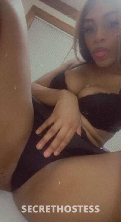 Alice 21Yrs Old Escort 165CM Tall Chicago IL Image - 3