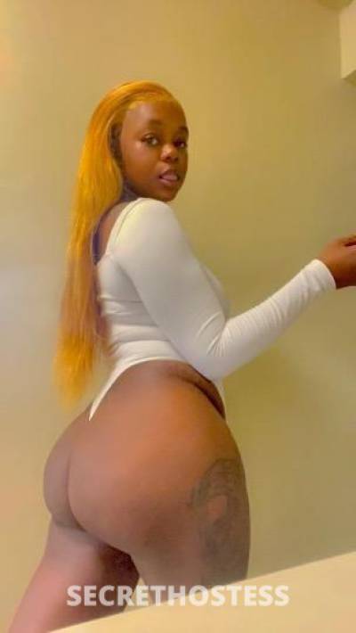 24Yrs Old Escort Bronx NY Image - 3