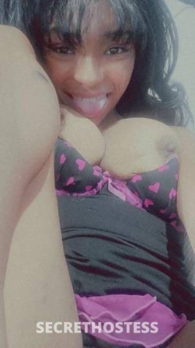 24Yrs Old Escort Lake Charles LA Image - 2