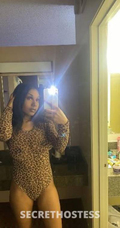Honey 22Yrs Old Escort Sacramento CA Image - 4
